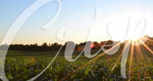 We’re specialists in refrigerated Freight for Fresh Produce.